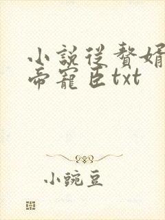 小说从赘婿到女帝宠臣txt