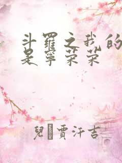 斗罗之我的老婆是宁荣荣