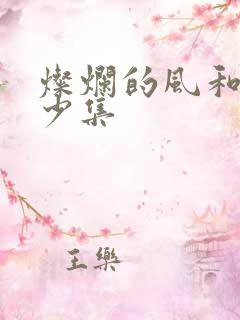 灿烂的风和海多少集