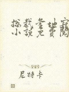 总裁爹地宠上天小说免费阅读