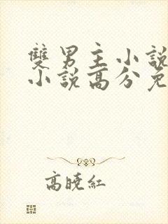 双男主小说完结小说高分免费