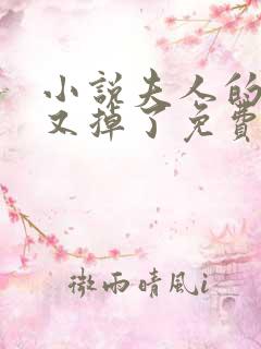 小说夫人的马甲又掉了免费阅读