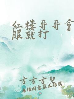 红楼哥哥会武不服就打