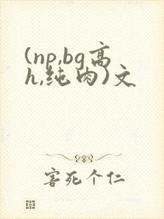 (np,bg高h,纯肉)文