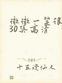 微微一笑很倾城30集高清