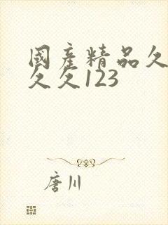 国产精品久久久久久123