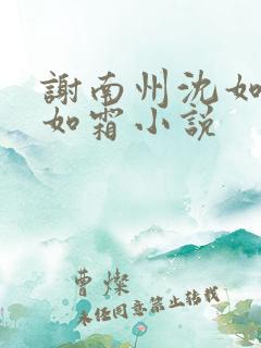 谢南州沈如锦沈如霜小说