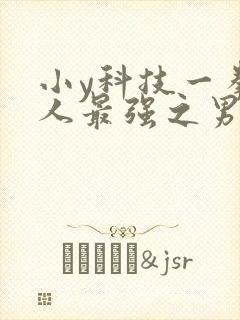 小y科技一拳超人最强之男