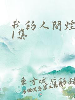 我的人间烟火41集