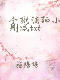 全职法师小说无删减txt