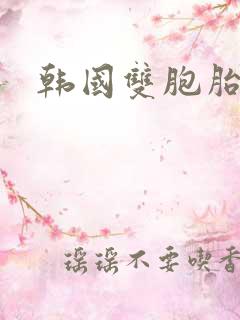 韩国双胞胎电影