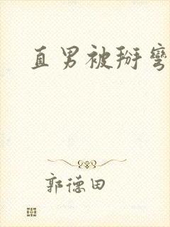 直男被掰弯的文