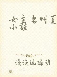 女主名叫夏瑶的小说