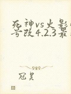 死神vs火影雨兮改4.2.3最新版本