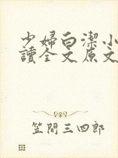 少妇白洁小说阅读全文原文