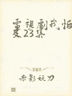 电视剧我怕来不及23集