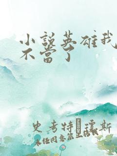 小说英雄我早就不当了