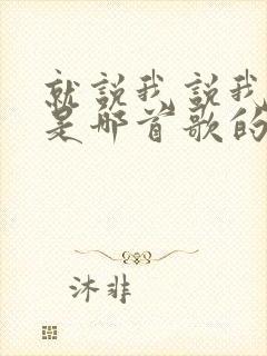 就说我说我爱你是哪首歌的歌词