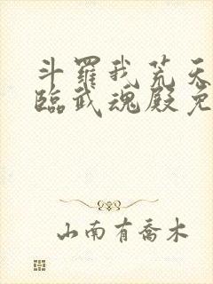 斗罗我荒天帝降临武魂殿免费阅读