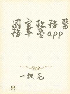 国家政务医保服务平台app