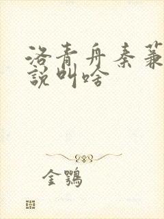 洛青舟秦蒹葭小说叫啥