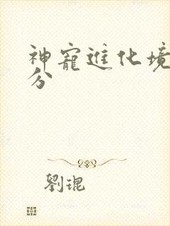 神宠进化境界划分