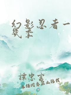 幻影忍者一共有几季