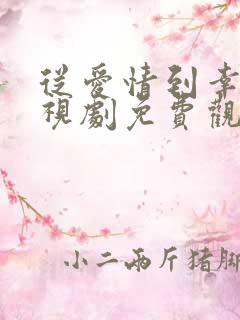 从爱情到幸福电视剧免费观看高清