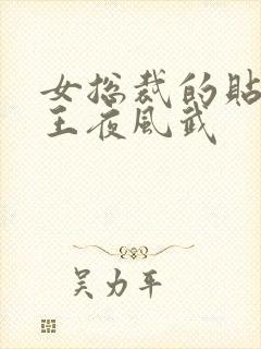 女总裁的贴身兵王夜风武