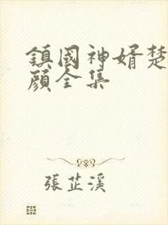 镇国神婿楚尘宋颜全集