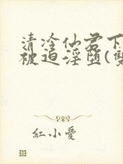 清冷仙君下山后被迫淫堕(双性大奶np)