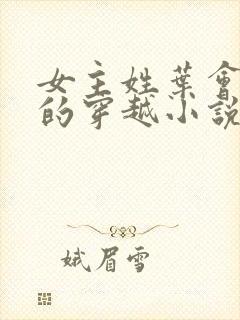 女主姓叶会医术的穿越小说