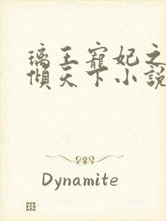 璃王宠妃之绝色倾天下小说