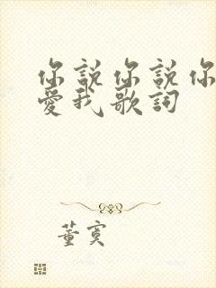 你说你说你一直爱我歌词