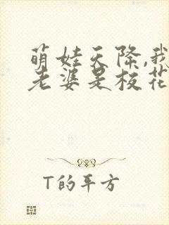 萌娃天降,我的老婆是校花短剧资源