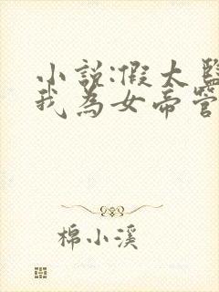 小说:假太监:我为女帝管后宫