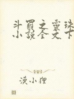 斗罗之灵珠神剑小说全文下载