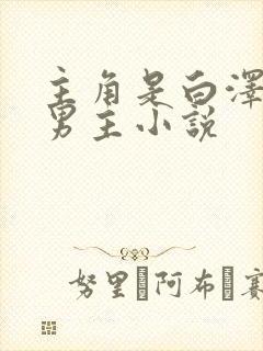 主角是白泽的双男主小说