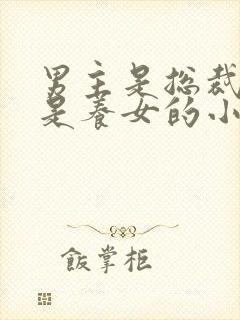 男主是总裁女主是养女的小说