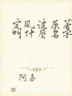 定风波原著小说叫什么名字