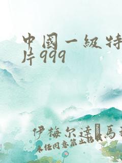 中国一级特黄大片999