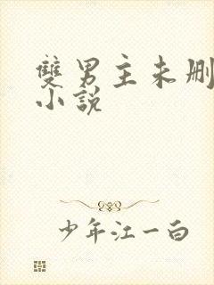 双男主未删减版小说