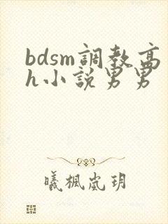bdsm调教高h小说男男