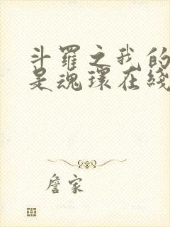 斗罗之我的武魂是魂环在线阅读