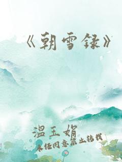 《朝雪录》小说