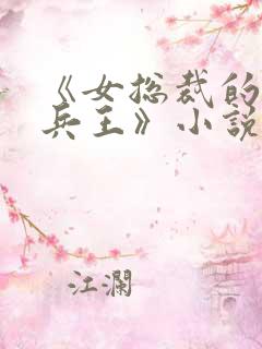 《女总裁的全能兵王》小说