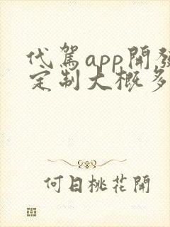 代驾app开发定制大概多少钱