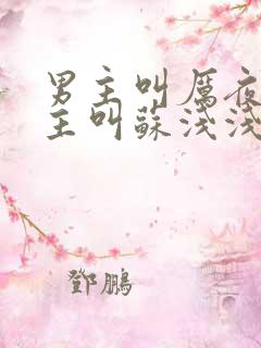 男主叫厉夜霆女主叫苏浅浅的小说