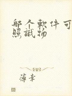 哪个软件可以拍照识物