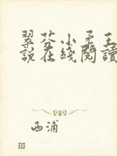 翠芬小柔王叔小说在线阅读